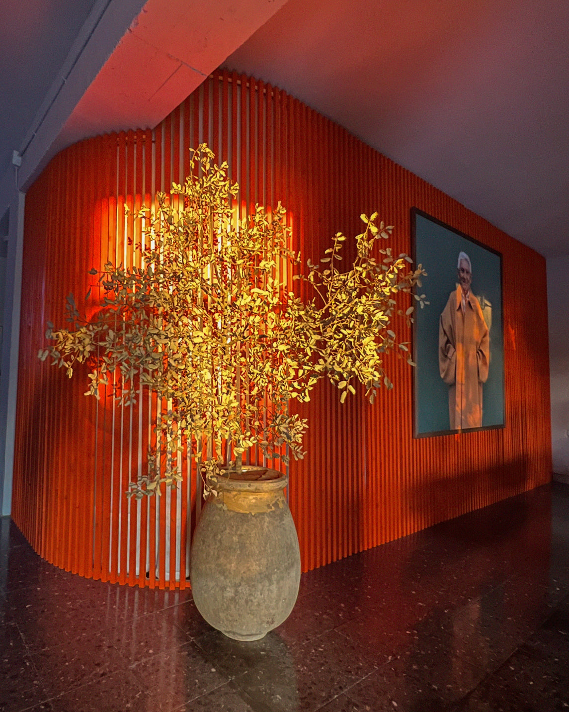 TREE-SHOWROOM-BARCELONA-LR3-LOUIS-RUBI